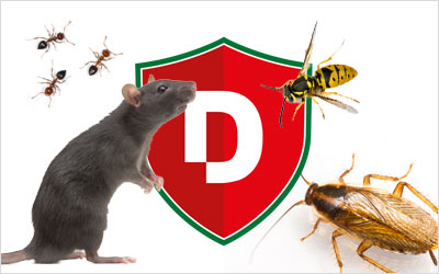Schädlingsbekämpfung